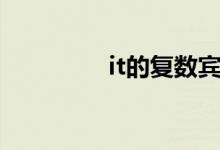 it的复数宾格（it的复数）