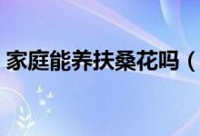 家庭能养扶桑花吗（家里养扶桑花有忌讳吗）