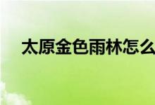 太原金色雨林怎么样（金色雨林怎么样）
