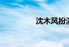 沈木风扮演者（沈木风）