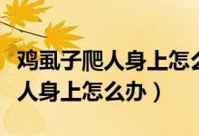 鸡虱子爬人身上怎么办怎么消灭掉（鸡虱子爬人身上怎么办）