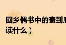 回乡偶书中的衰到底读什么（回乡偶书里的衰读什么）