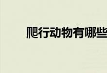 爬行动物有哪些（两栖动物有哪些）