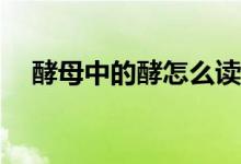 酵母中的酵怎么读（酵为什么会读xiao）