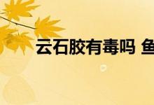 云石胶有毒吗 鱼缸（云石胶有毒吗）