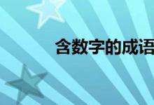 含数字的成语（含反义的成语）