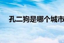孔二狗是哪个城市的(孔二狗是哪里人)