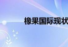 橡果国际现状（橡果国际手机）