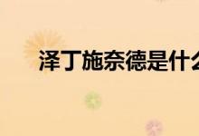 泽丁施奈德是什么职业（泽丁施奈德）