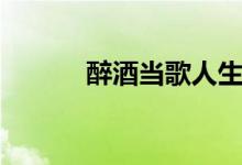 醉酒当歌人生几何（醉酒当歌）
