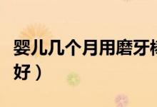 婴儿几个月用磨牙棒最好（磨牙棒和牙胶哪个好）
