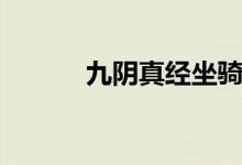 九阴真经坐骑（九阴真经坐骑）