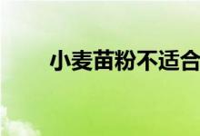 小麦苗粉不适合什么人（小麦苗粉）