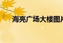 海亮广场大楼图片（海亮广场大酒店）