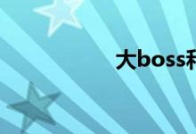 大boss和我的悲喜录