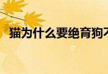 猫为什么要绝育狗不用（猫为什么要绝育）