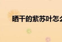 晒干的紫苏叶怎么吃（紫苏叶怎么吃）