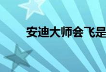 安迪大师会飞是真的吗（安迪大师）