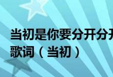 当初是你要分开分开就分开是哪首流行歌曲的歌词（当初）