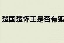 楚国楚怀王是否有狐臭（楚怀王身上有异味）