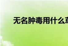 无名肿毒用什么草药最好（无名肿毒）