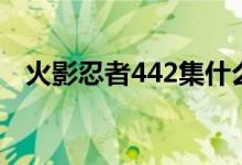 火影忍者442集什么播的（火影忍者442）