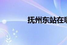 抚州东站在哪里（抚州东站）