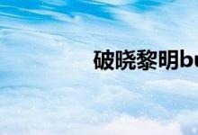破晓黎明bug（破晓黎明）