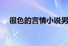 很色的言情小说男男（很色的言情小说）