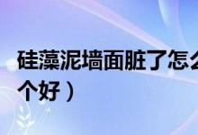 硅藻泥墙面脏了怎么清洗（艺术漆和硅藻泥哪个好）