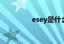 esey是什么意思（esey）