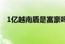 1亿越南盾是富豪吗（越南盾面值有几种）