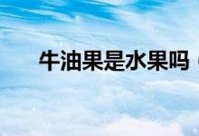 牛油果是水果吗（牛油果硬的能吃吗）