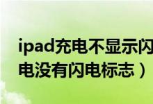 ipad充电不显示闪电符号充不进电（ipad充电没有闪电标志）
