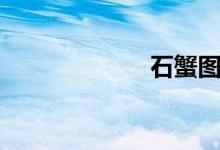 石蟹图片(石蟹)