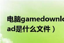 电脑gamedownload是什么文件（download是什么文件）