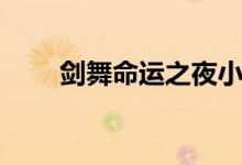 剑舞命运之夜小说（剑舞命运之夜）