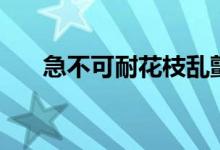 急不可耐花枝乱颤的意思(急不可耐)