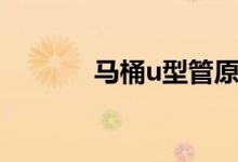 马桶u型管原理（u型管原理）