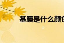 基膜是什么颜色的（基膜是什么）
