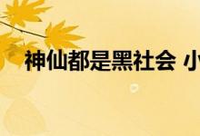神仙都是黑社会 小说(神仙也混黑社会)