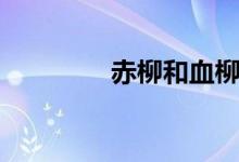 赤柳和血柳的区别（赤柳）