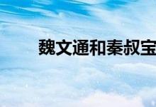 魏文通和秦叔宝哪个厉害（魏文通）
