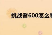 挑战者600怎么看年份（挑战者600）