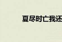 夏尽时亡我还爱你（夏尽时亡）