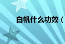 白帆什么功效（白帆的功效和作用）