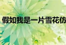 假如我是一片雪花仿写（假如我是一片雪花）