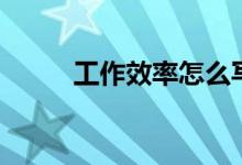 工作效率怎么写自评（工作效率）