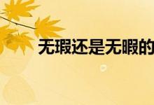 无瑕还是无暇的意思（无暇的意思）