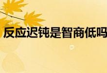 反应迟钝是智商低吗（反应慢是智商有关吗）